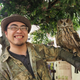 Image for article titled Who Thinks Japan's Owl Cafes Are a Hoot?